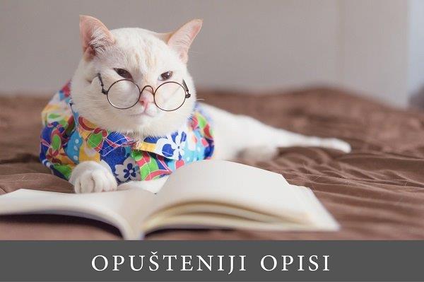 mačka obučena u šareno odelce sa naočarima na krevetu ispred koje je otvorena knjiga