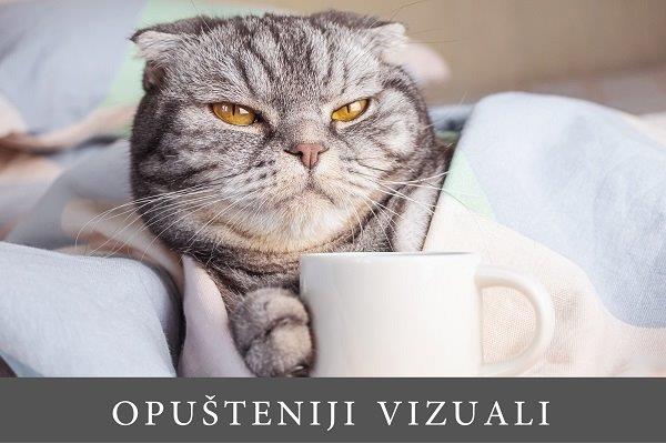 sivi mačak na krevetu drži šapu prislonjenu na šolju za kafu